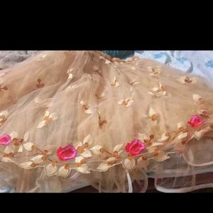 Designer Embroidered Lehenga Choli