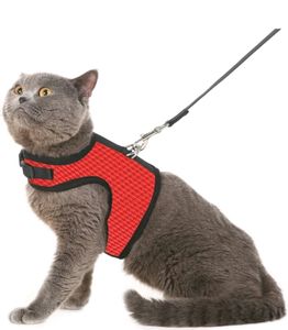 Cat Leash