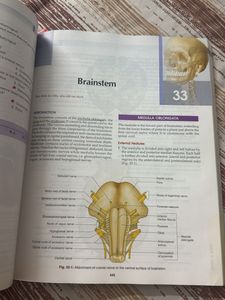 BD Chaurasia's Human Anatomy for Dental Students