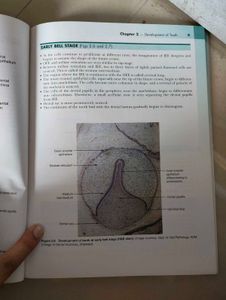 (Combo) ORBAN'S + Atlas of Oral Histolog