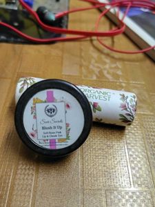 Organic Harvest Lipstick - Lovely Shade