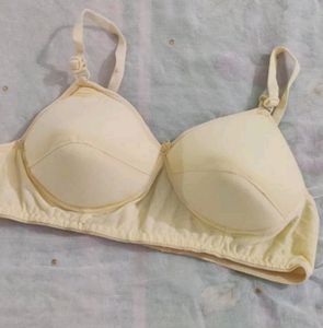 Pack Of 5 Heavy Padded Bra