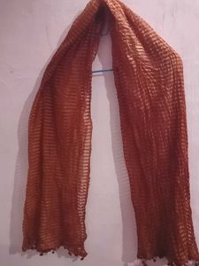 Beautiful Brown Dupatta