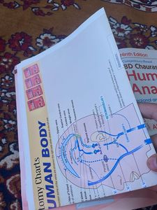 BD Chaurasia's Human Anatomy Vol 2