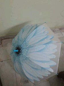 Beautiful Floral Umbrella