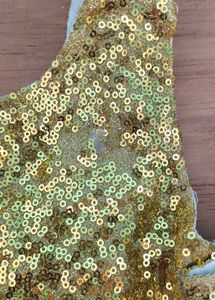 Girls Ethnic Lehenga Choli Sets