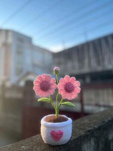Handmade Crochet Flower Pot