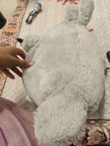 totoro