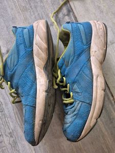Blue Sports Shoes