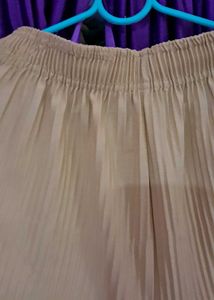 Pleated Beige Palazzos