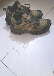 Orignal Woodland Shoe For Man.