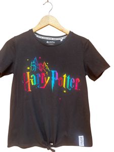 Harry Potter Rainbow Logo Tee Youth XL