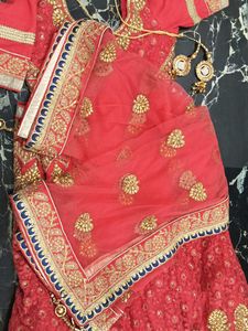 bridal Lehenga Choli🪷🎀💝