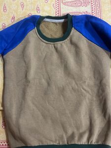 Color Block Crewneck Sweatshirt