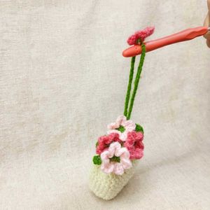 Handmade Crocheted Flower Pot cover