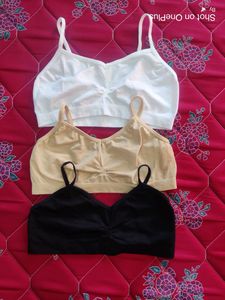 Seamless non Padded Bra- Pack Of 3