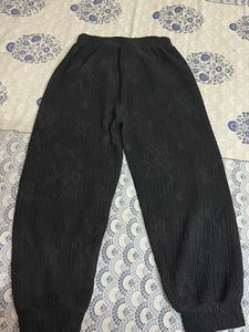 Woolen Pant