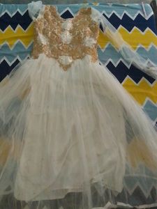 Golden Embroidered White Net Gown