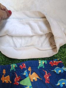 Dinosaur Print Sweatshirt &amp; Shorts Set