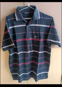 Men's Striped Polo T-shirt