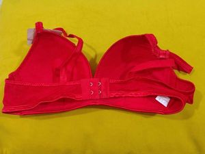304 -- Vibrant soft padded Bra