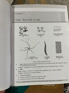 Aakash Botany Chapterwise Labelled Diagrams