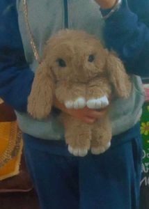 Cute Bunny Plush Toy cum Bag