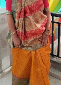 Gorgeous Fancy Saree With Border