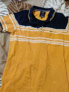 Men's Striped Polo T-Shirt