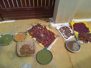 Homemade Shampoo Powder