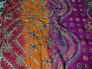 Vibrant Saree with Sequins