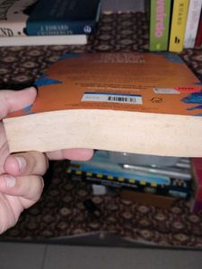 The Colour of Bee Larkham's Murder
