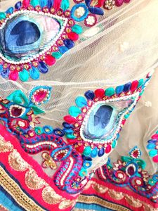 Readymade Net Embroidered Saree with 2 Blouses