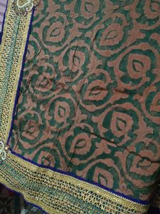 Exquisite Embroidered Saree