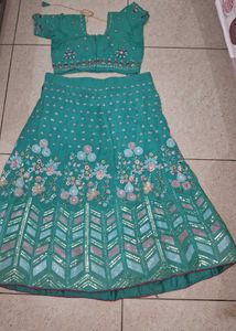 Elegant Embroidered Lehenga Choli Set