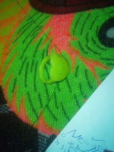 Doraemon Round Charm