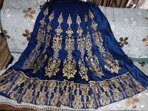 Elegant Blue Embroidered Top &amp; Skirt