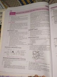 Class 11 Biology Textbook