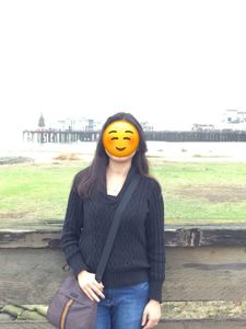 BOGO Black V-neck Sweater - Bought from US