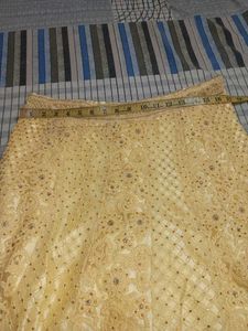 Elegant Lehenga Choli Set