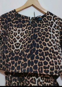 Brown Lion Printed Dress For 36 Bust