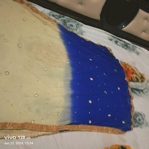 Ombre Dupatta with Embellishments