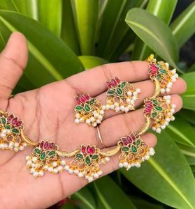 Elegant Ethnic multicolour Necklace & Earring Set