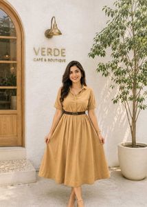 Stylish Collared Midi Dress
