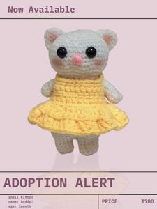 Kitten for adoption DAFFY⭐️💗