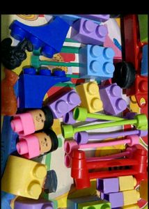 Zoo Set For Kids