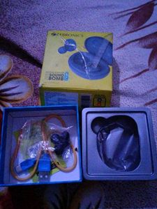 zebronic ear bird
