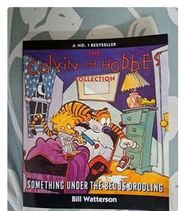 Combo Of Asterix And Calvin Hobbes Cartoon Books
