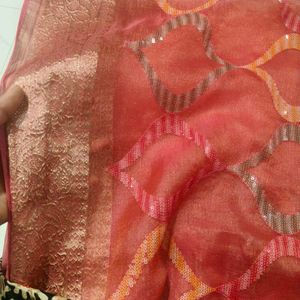 Elegant Coral Saree with Sequins