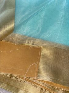 organza Green With Gold Border Saree